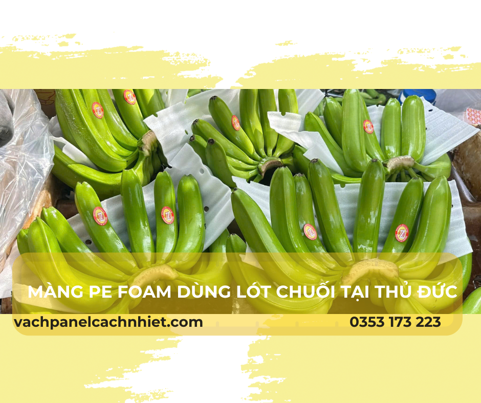mang-pe-foam-dung-lot-chuoi-tai-thu-duc