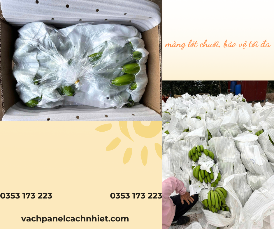 mang-pe-foam-dung-lot-chuoi-tai-thu-duc