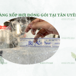 mang-xop-hoi-dong-goi-tai-tan-uyen