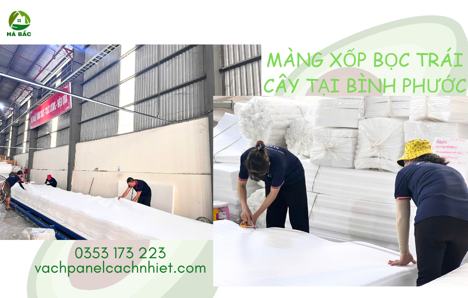 mang-xop-boc-trai-cay-tai-binh-phuoc