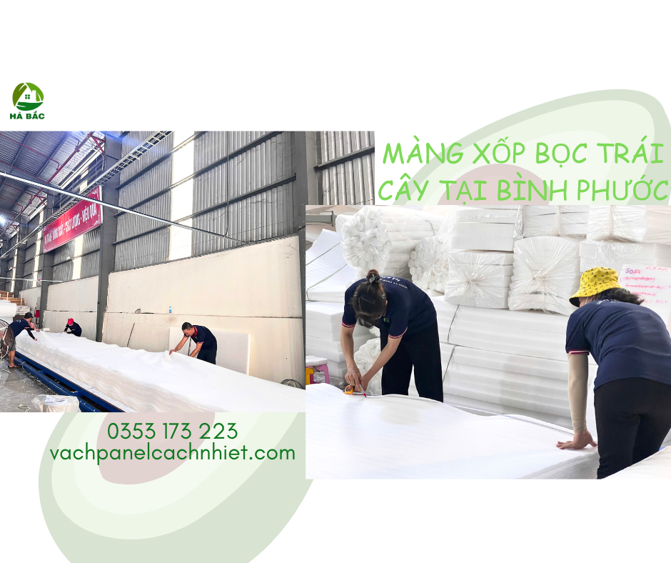 mang-xop-boc-trai-cay-tai-binh-phuoc