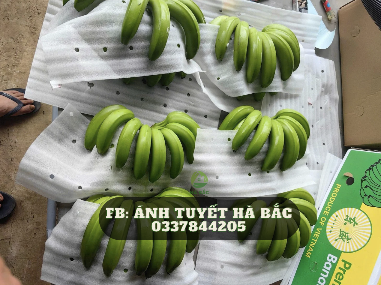 Mọi người cần mua thì liên hệ em tư vấn nha