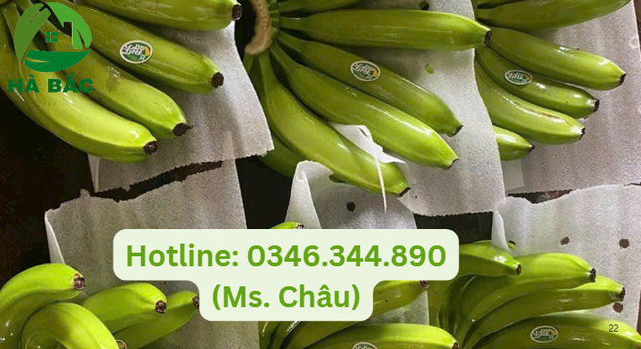 màng foam bảo vệ chuối giá rẻ tại xưởng