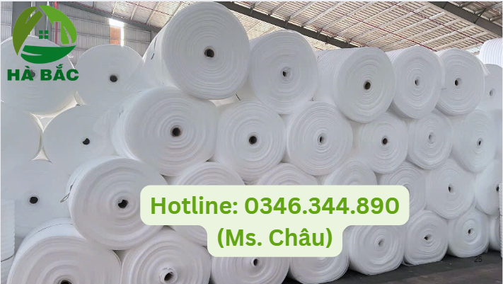 xốp pe foam 5mm tại Bình Định