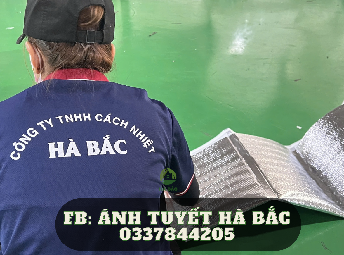 Túi bạc giữ nhiệt tại Gia Lai