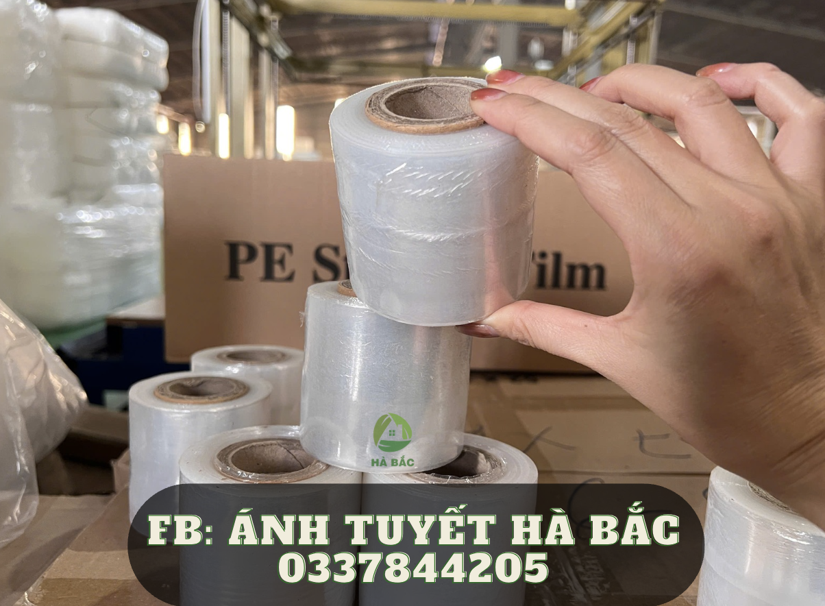 Màng co pe có đủ loại kích thước tùy nhu cầu sử dụng