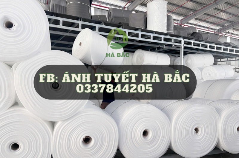 Màng foam 3mm có sẵn ở kho tại Gia Lai ( Bình Định cũ) và Bình Dương