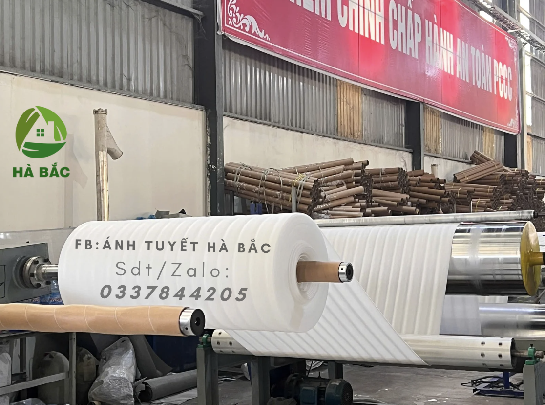 Mua Màng Foam 1mm Giá Rẻ Tại Gia Lai – Giao Nhanh 24h