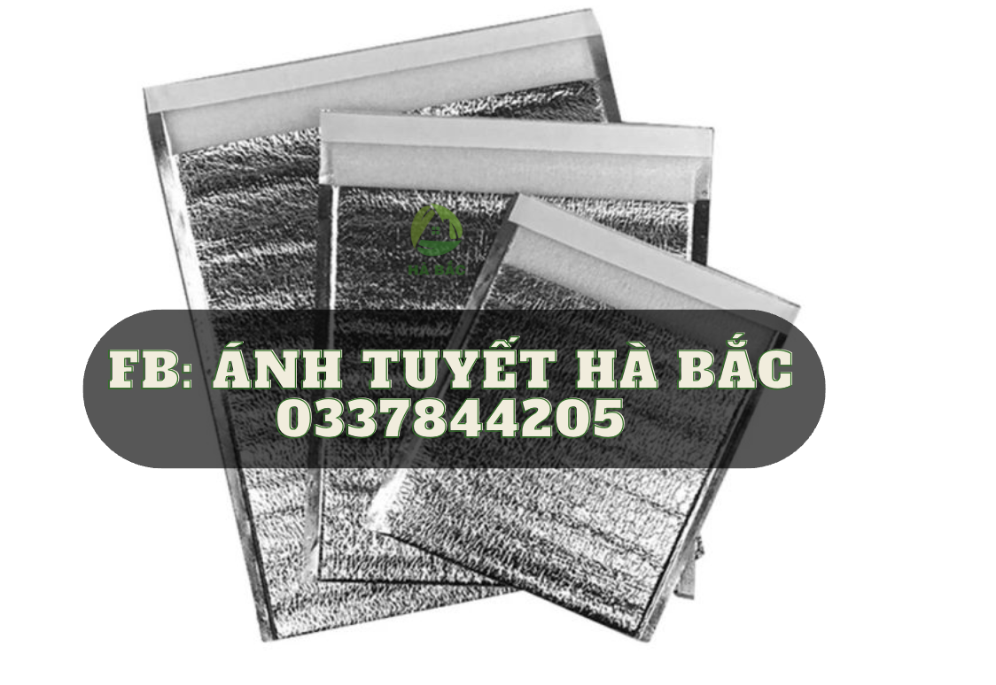 Túi bạc giữ nhiệt là gì ?