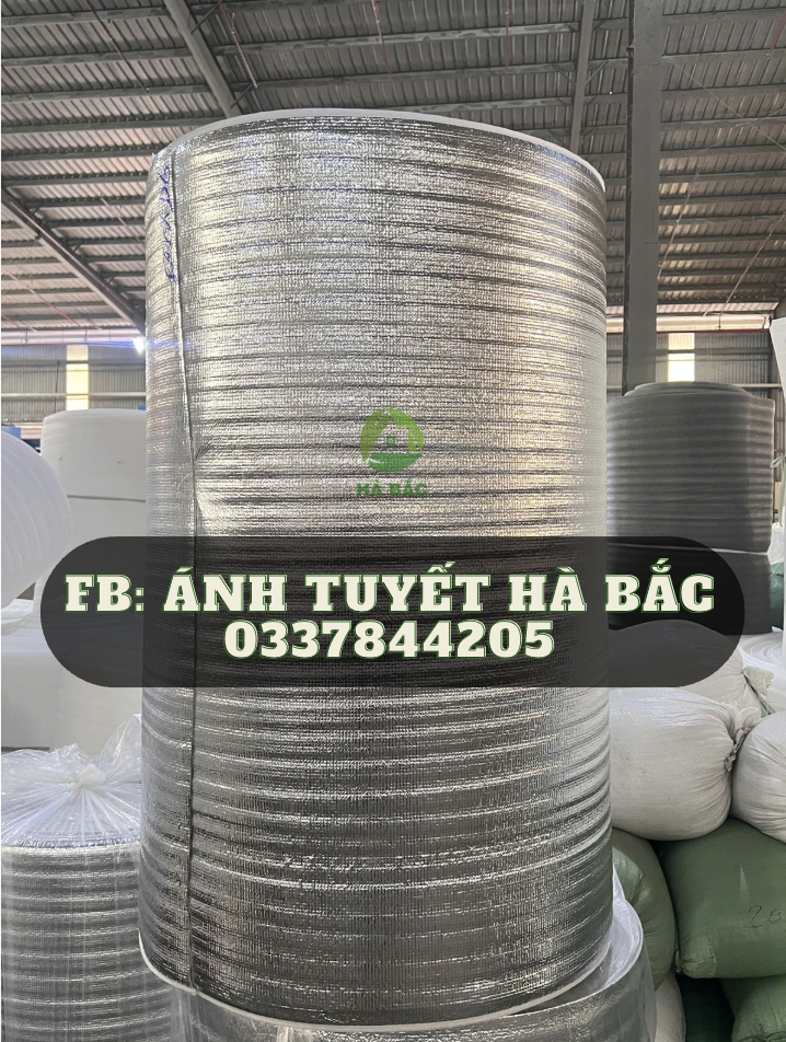 Màng Foam Cách Nhiệt dùng trong xây dựng