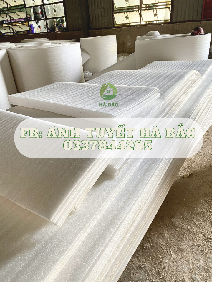 Nhà máy sản xuất màng foam, mút xốp, xốp nổ tại Bình Định và Bình Dương
