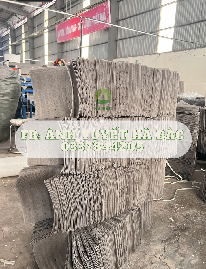 Màng foam lót trái cây tại Ánh Tuyết Hà Bắc